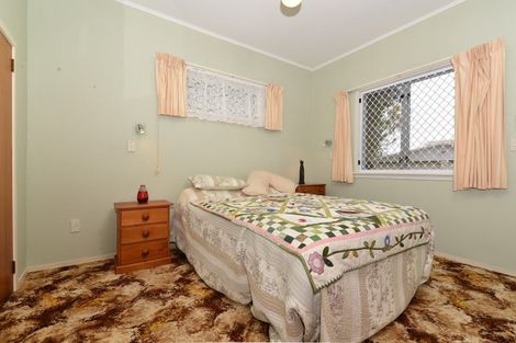 Photo of property in 53 Alfred Street, Fairfield, Hamilton, 3214