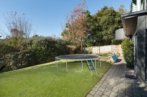 Photo of property in 41 Snowden Street, Ohauiti, Tauranga, 3112