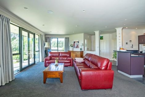 Photo of property in 119 Orari Back Road, Geraldine, 7992