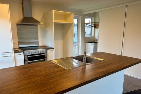 Photo of property in 27 Parnassus Street, Waiau, 7332