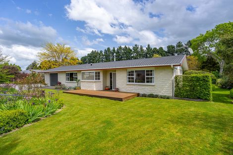 Photo of property in 71 Frederick Street, Carterton, 5713