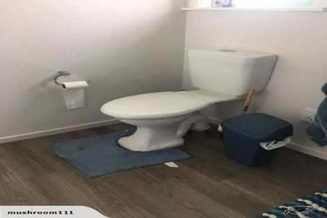 Photo of property in 22 Lemon Street, Otaki, 5512