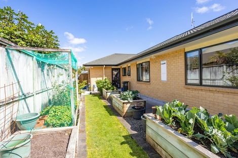 Photo of property in 50 Nathan Street, Springvale, Whanganui, 4501