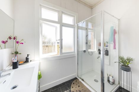 Photo of property in 53 Limbrick Street, Terrace End, Palmerston North, 4410