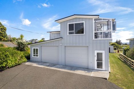 Photo of property in 499 Grahams Beach Road, Manukau Heads, Waiuku, 2684