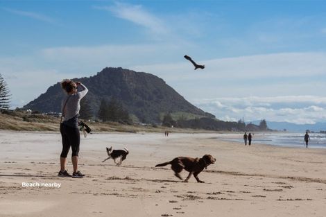 Photo of property in 9 Grove Avenue, Mount Maunganui, 3116