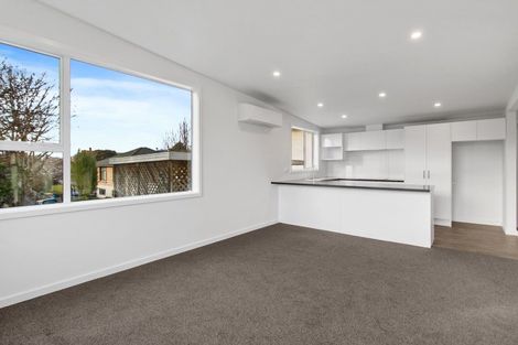 Photo of property in 152a Le Cren Street, Seaview, Timaru, 7910
