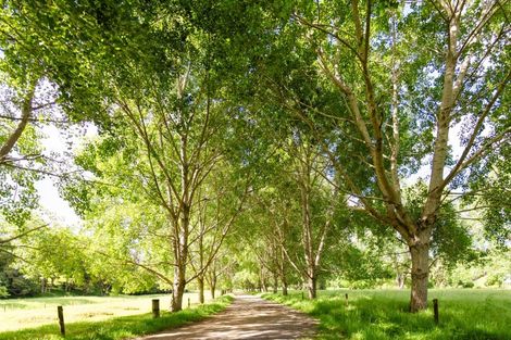 Photo of property in 48 Doel Road, Kawakawa, 0282