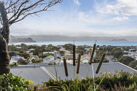 Photo of property in 41a Mantell Street, Seatoun, Wellington, 6022