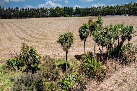 Photo of property in 56 Ashworth Bush Road, Sefton, Rangiora, 7477