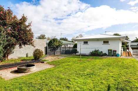 Photo of property in 46 Insoll Avenue, Enderley, Hamilton, 3214