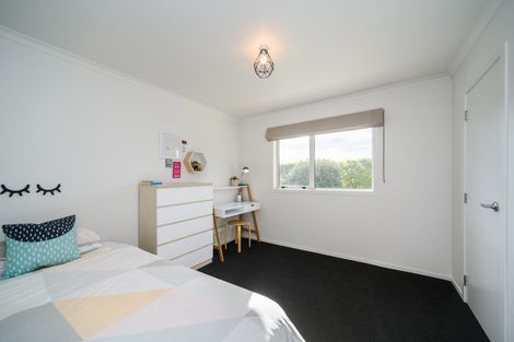 Photo of property in 15 Wapiti Avenue, Feilding, 4775