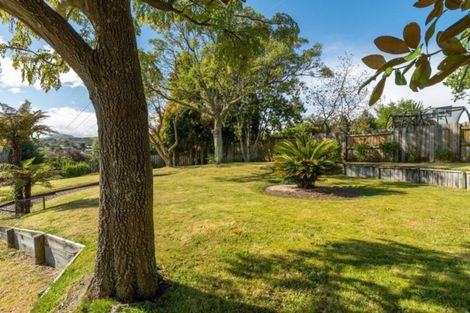Photo of property in 175 Sapphire Drive, Hairini, Tauranga, 3112