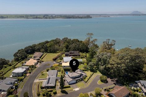 Photo of property in 5 Gellibrand Place, Omokoroa, 3114