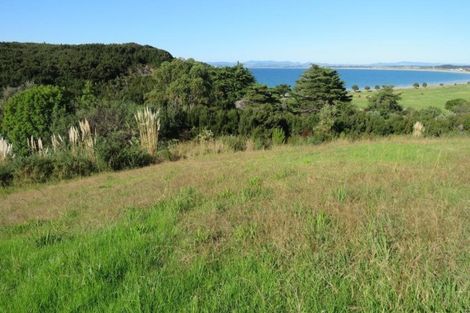 Photo of property in 12 Akeake Crescent, Karikari Peninsula, 0483