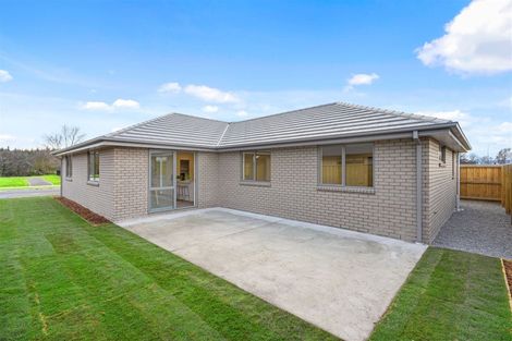 Photo of property in 11 Bastings Street, Kaiapoi, 7630