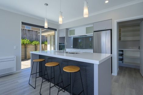 Photo of property in 55 Fairose Drive, Richmond, 7020