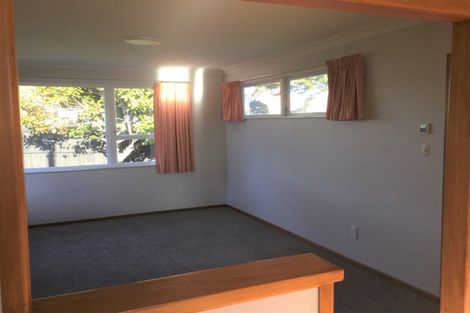 Photo of property in 20a Taupo Avenue, Mount Maunganui, 3116