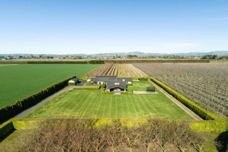 Photo of property in 47 Percival Road, Frimley, Hastings, 4120