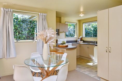 Photo of property in 143a Olliviers Road, Phillipstown, Christchurch, 8011