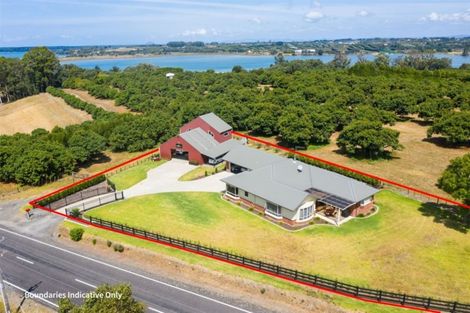 Photo of property in 116 Tanners Point Road, Tanners Point, Katikati, 3177