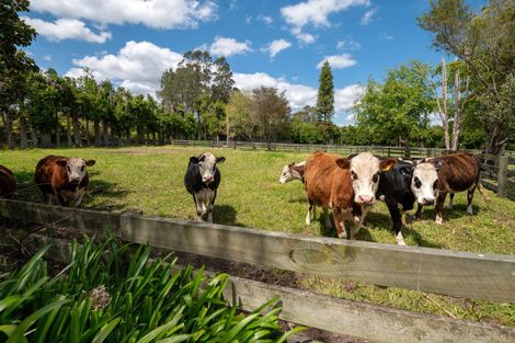 Photo of property in 139 Te Puea Road, Tikitere, Rotorua, 3074