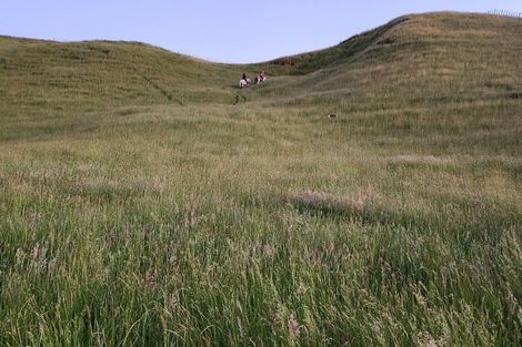 Photo of property in 964 Tarata Road, Kaimata, 4387