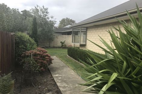 Photo of property in 11b Colombo Street, Cashmere, Christchurch, 8022