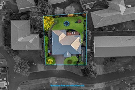 Photo of property in 3 Covina Place, Somerville, Auckland, 2014