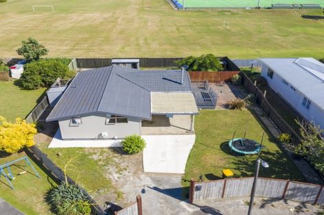 Photo of property in 6 Drake Street, Levin, 5510