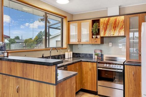 Photo of property in 10 Merlin Place, Gore, 9710