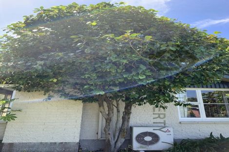 Photo of property in 12 Delph Street, Avonhead, Christchurch, 8042