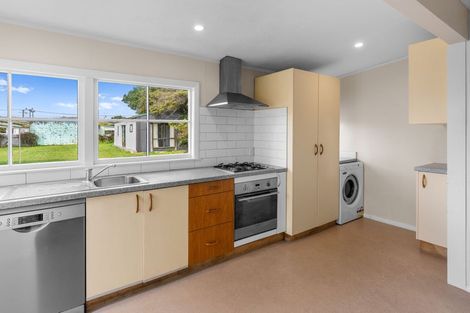 Photo of property in 17 Reeve Street, Levin, 5510