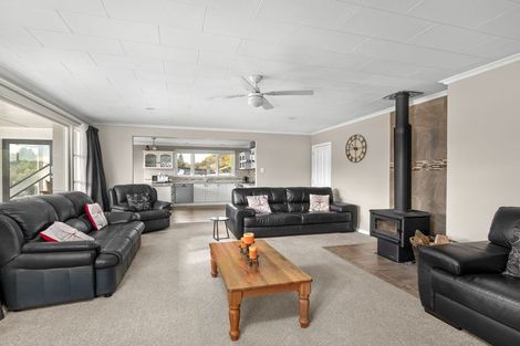 Photo of property in 107 Branxholm Street, Roxburgh, 9500