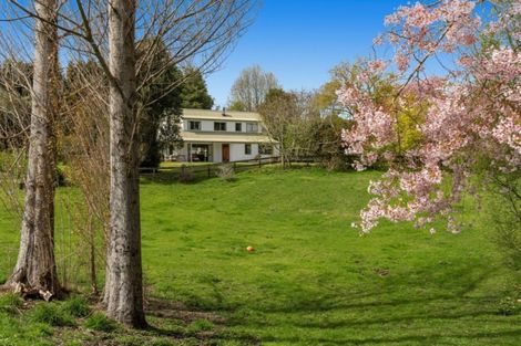 Photo of property in 121b Plummers Point Road, Whakamarama, Tauranga, 3172