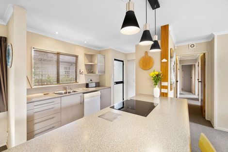 Photo of property in 21 Moore Street, West End, Palmerston North, 4412