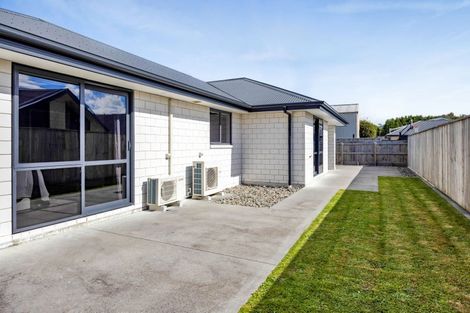 Photo of property in 48a Celia Street, Stratford, 4332