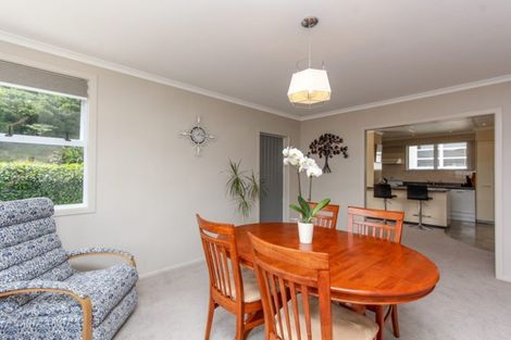 Photo of property in 46 Oranga Street, Marfell, New Plymouth, 4310
