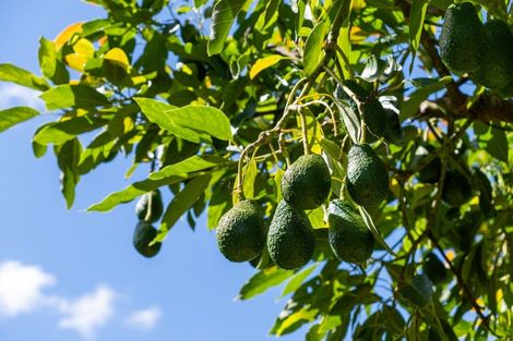 Photo of property in 42 Ferry Road, Waerengaahika, Gisborne, 4071