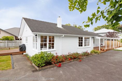 Photo of property in 100a Linton Street, West End, Palmerston North, 4410