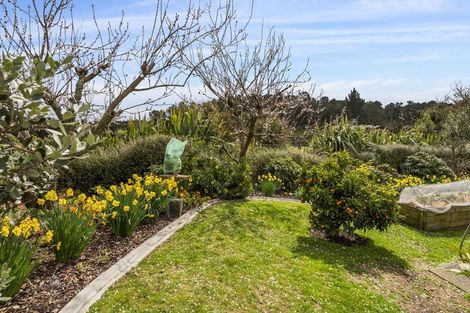 Photo of property in 42 Parekaawa Drive, Motuoapa, Turangi, 3382