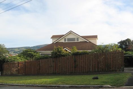 Photo of property in 93 Signal Hill Road, Opoho, Dunedin, 9010