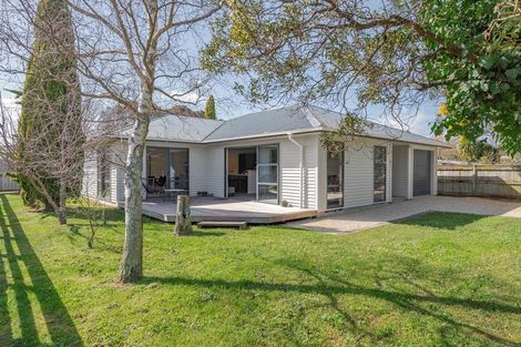 Photo of property in 43 Esther Street, Martinborough, 5711