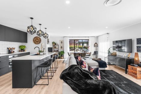 Photo of property in 8 Biggles Place, Lincoln, 7608