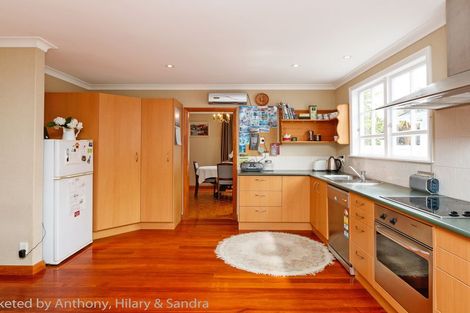 Photo of property in 100a Linton Street, West End, Palmerston North, 4410