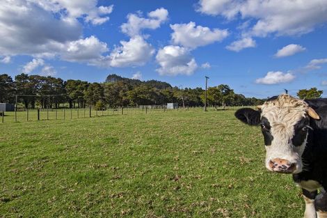 Photo of property in 243 Harris Road, Glenbervie, Whangarei, 0175
