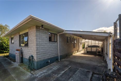 Photo of property in 8a Dorset Street, Richmond, 7020