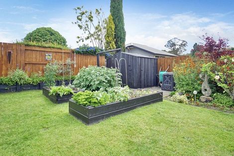 Photo of property in 6 Norm Freeman Drive, Te Puke, 3119