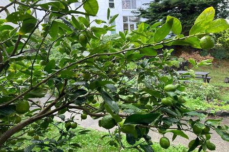 Photo of property in 205/11 Akepiro Street, Mount Eden, Auckland, 1024