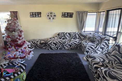 Photo of property in 163 Grampian Street, Tokoroa, 3420